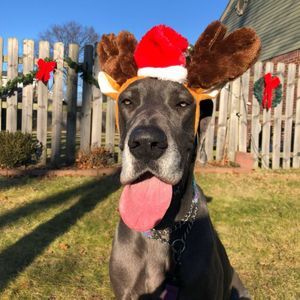 Meet your Posher, Suzanne